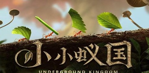 小小蚁国蚁后升级需要什么-蚁后升级所需资源汇总